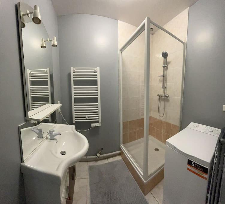 Appartement 1 Chambre Rue Faubourg De Besancon Montbeliard Exterior photo
